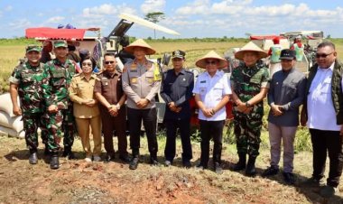 " PANEN RAYA KOLOSAL SERENTAK 14 PROVINSI, KAPOLDA BERSAMA GUBERNUR DAN FORKOPIMDA TURUN LANGSUNG KE SAWAH : KALTENG SIAP JADI GARDA DEPAN SWASEMBADA PANGAN NASIONAL "
